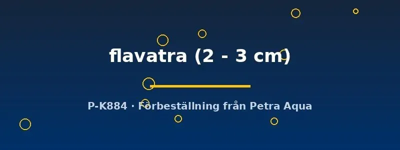 Näsets Ciklidhobby Garra flavatra algätare 2–3 cm pandamönster