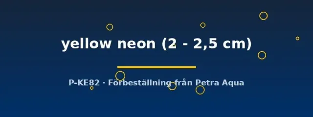 Neocaridina Yellow Neon 2–2,5 cm akvarieräka gul