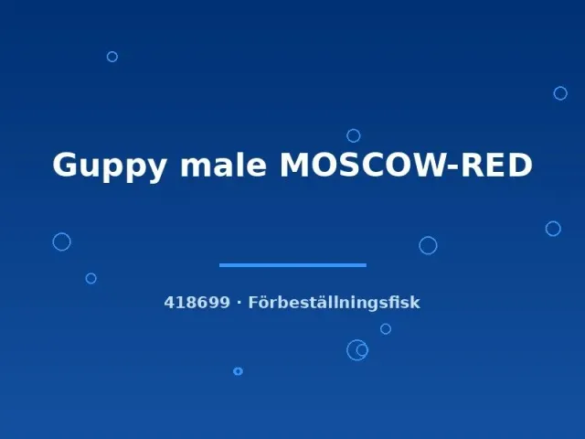 Näsets Ciklidhobby Moscow-Red guppyhane lg