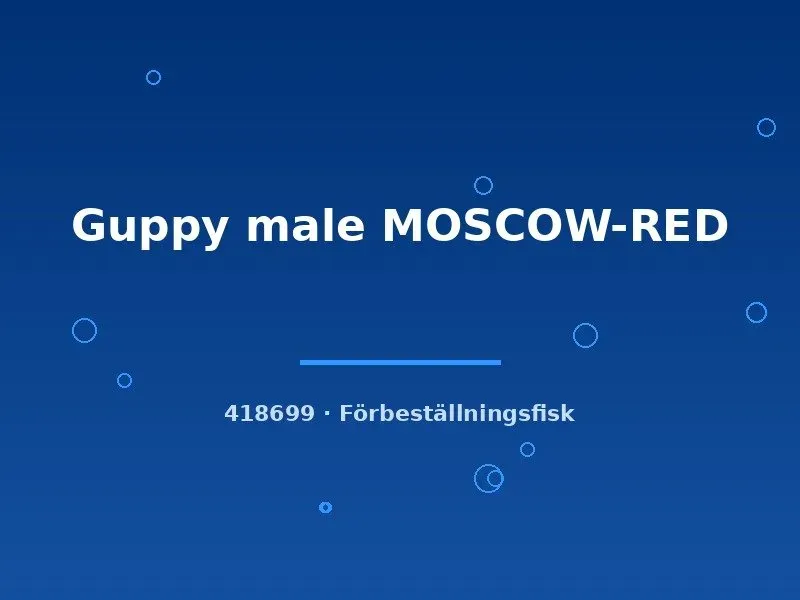 Näsets Ciklidhobby Moscow-Red guppyhane lg