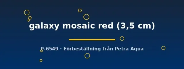 Näsets Ciklidhobby Galaxy Mosaic Red Poecilia guppy par 3,5 cm