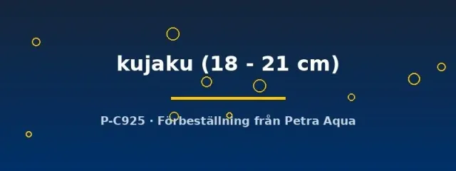 Cyprinus koi kujaku dammfisk 18–21 cm