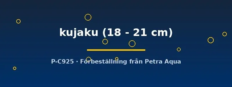 Cyprinus koi kujaku dammfisk 18–21 cm