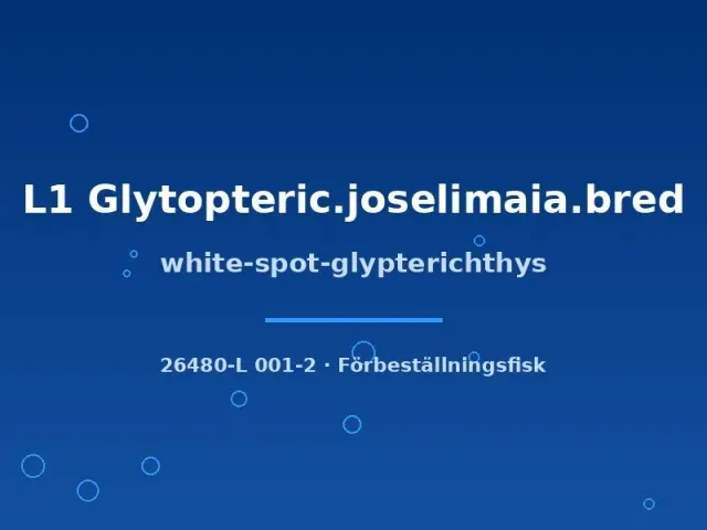 Näsets Ciklidhobby white-spot glyptoperichthys mal 6–8 cm