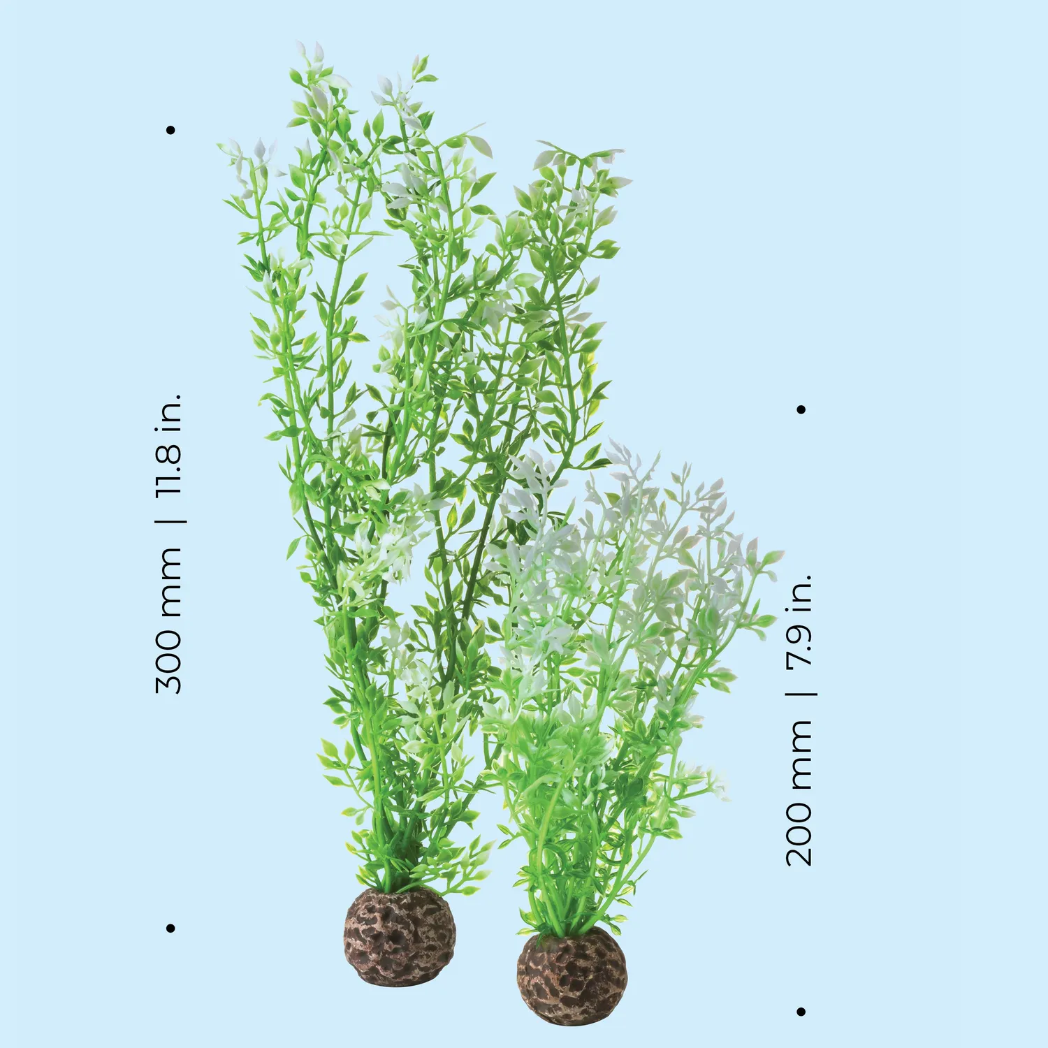 biOrb Winter Flower Plant Set akvarieväxt grön 2-delar
