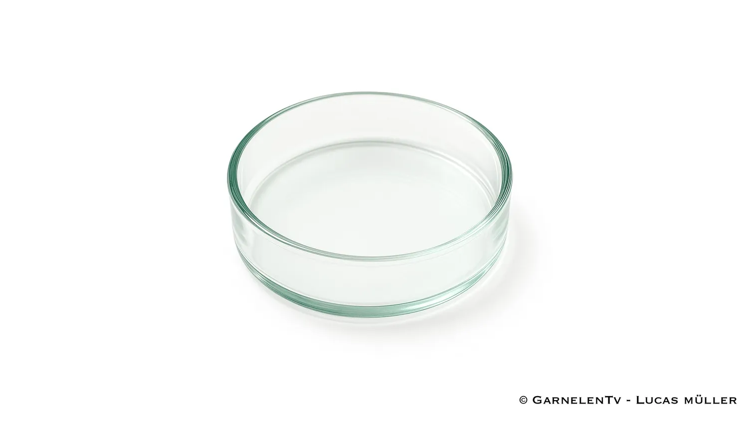 Garnelen TV matskål glas räkor liten 5 cm