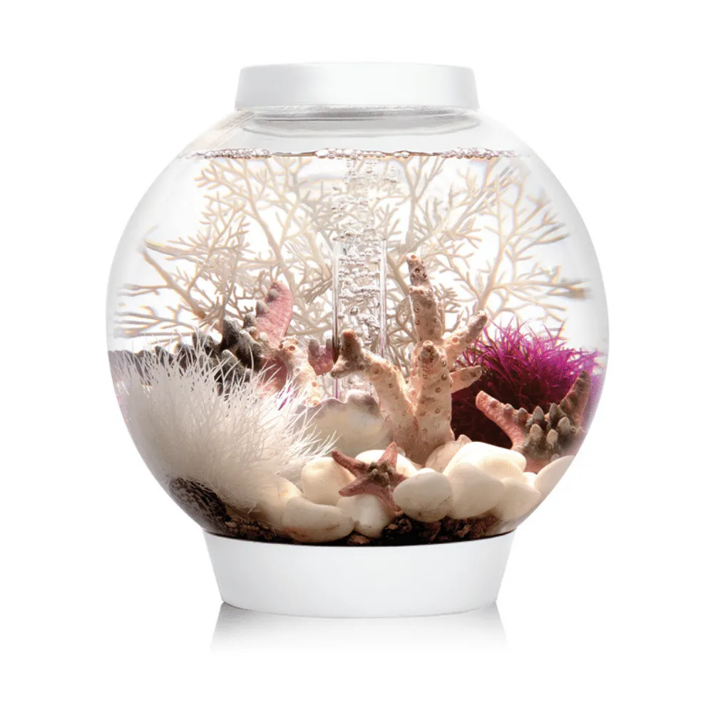 biOrb Classic 15 MCR akvarium 15 liter vit LED