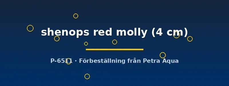 Poecilia shenops red molly akvariefisk 4 cm röd