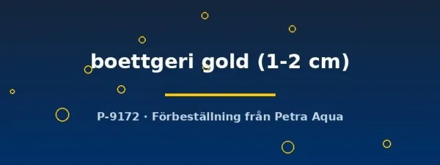 Näsets Ciklidhobby Boettgeri Gold dvärggroda 1–2 cm