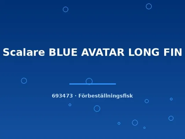 Näsets Ciklidhobby Blue Avatar skalarfisk long fin md-lg