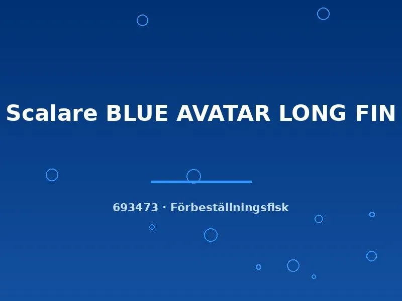 Näsets Ciklidhobby Blue Avatar skalarfisk long fin md-lg