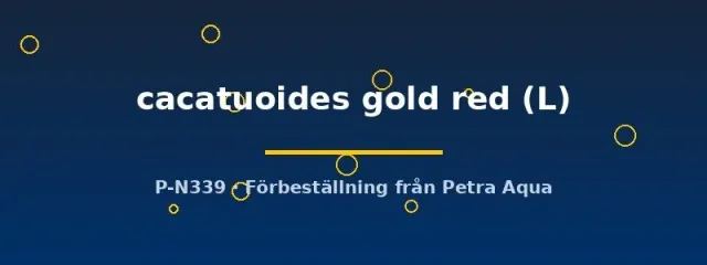 Näsets Ciklidhobby Cacadu Gold Red dvärgciklid L botten