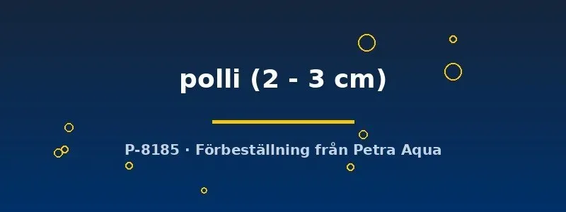Näsets Ciklidhobby Synodontis polli bottenfisk mal 2–3 cm Tanganyika