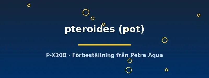 Näsets Ciklidhobby Ceratopteris pteroides akvarieväxt kruka