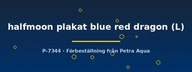 Näsets Ciklidhobby Betta halfmoon plakat kampfisk L