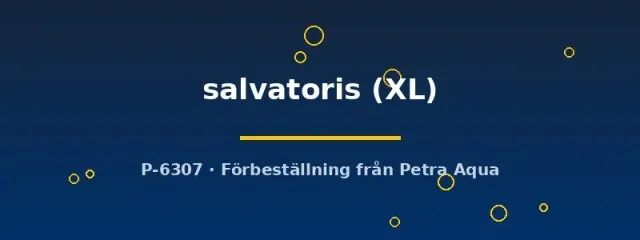 Näsets Salvatoris Poecilia endler guppy XL