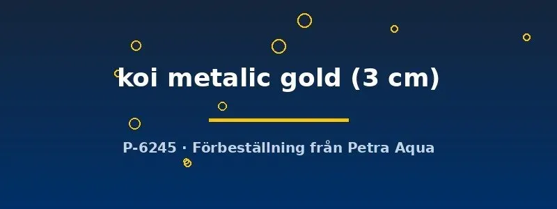 Näsets Ciklidhobby Xiphophorus maculatus koi platy 3 cm metallic gold