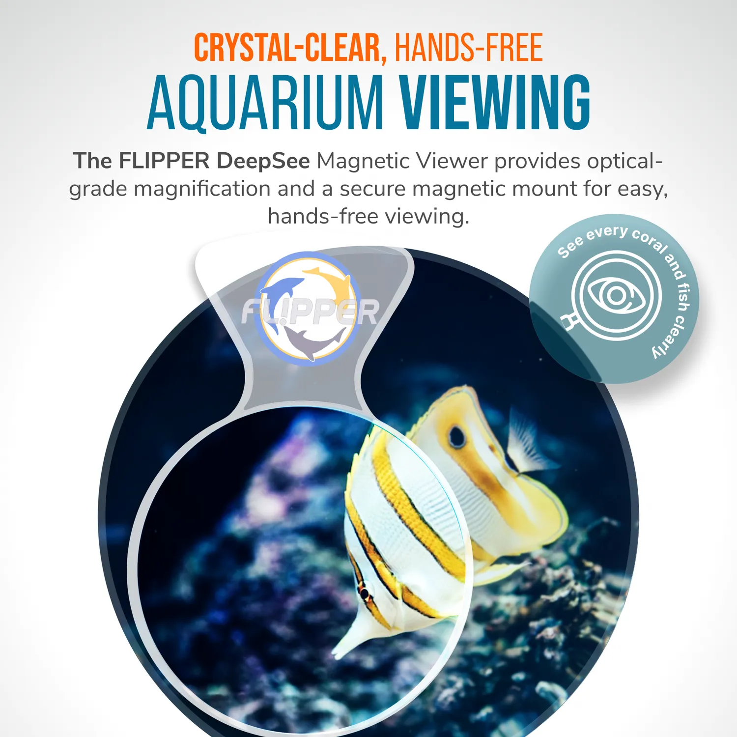 DeepSee Viewer Clear 4" akvarieviewer klar lins