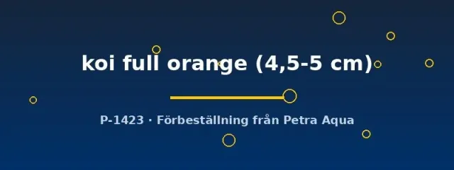 Pterophyllum scalare skalar koi full orange 4,5–5 cm