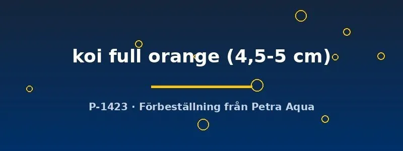 Pterophyllum scalare skalar koi full orange 4,5–5 cm