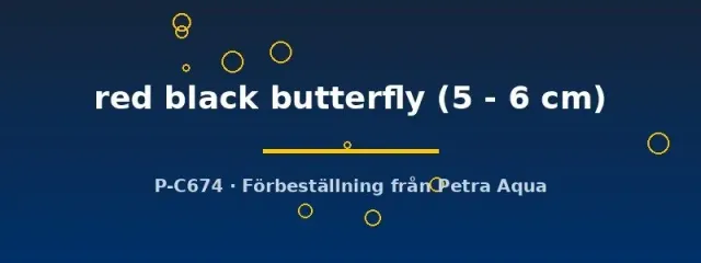 Näsets Ciklidhobby Carassius Red Black Butterfly guldfisk 5–6 cm