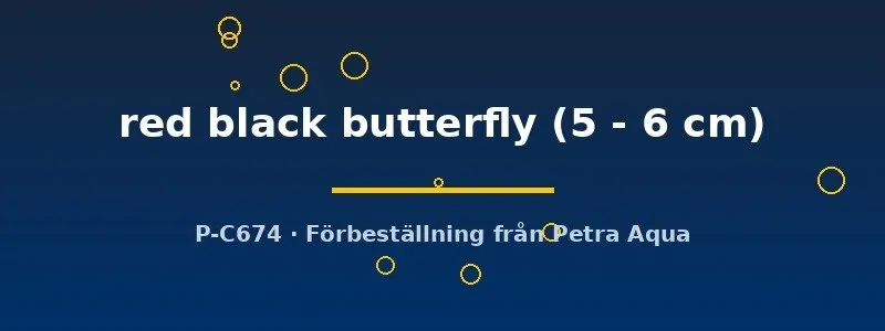 Näsets Ciklidhobby Carassius Red Black Butterfly guldfisk 5–6 cm