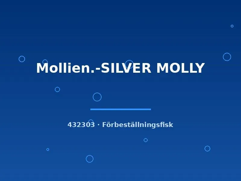 Näsets Ciklidhobby Silver Molly akvariefisk lg fredlig