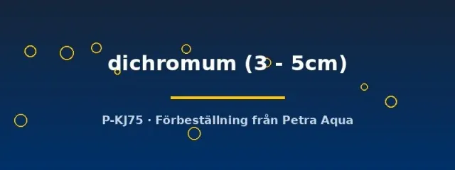 Acestridium dichromum mal 3–5 cm lugn algätare