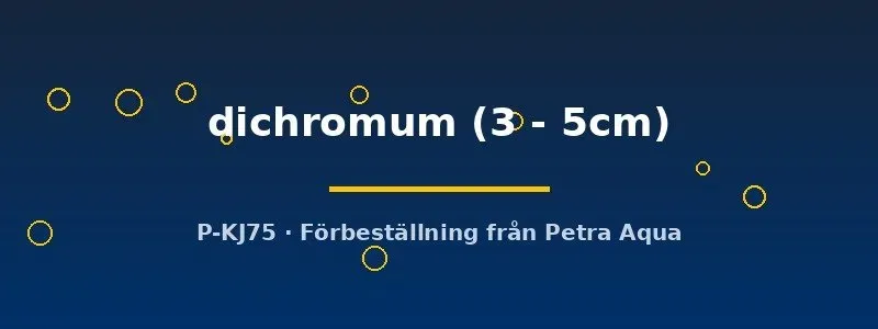 Acestridium dichromum mal 3–5 cm lugn algätare