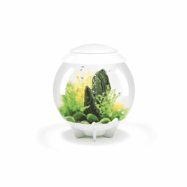 biOrb HALO 30 MCR akvarium vit 30 liter med LED