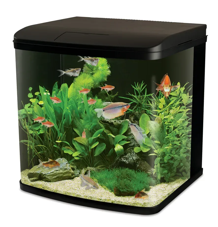 Interpet River Reef LED akvarium 94L komplett