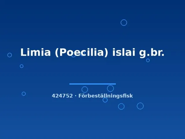 Näsets Ciklidhobby Limia islai levandefödare md