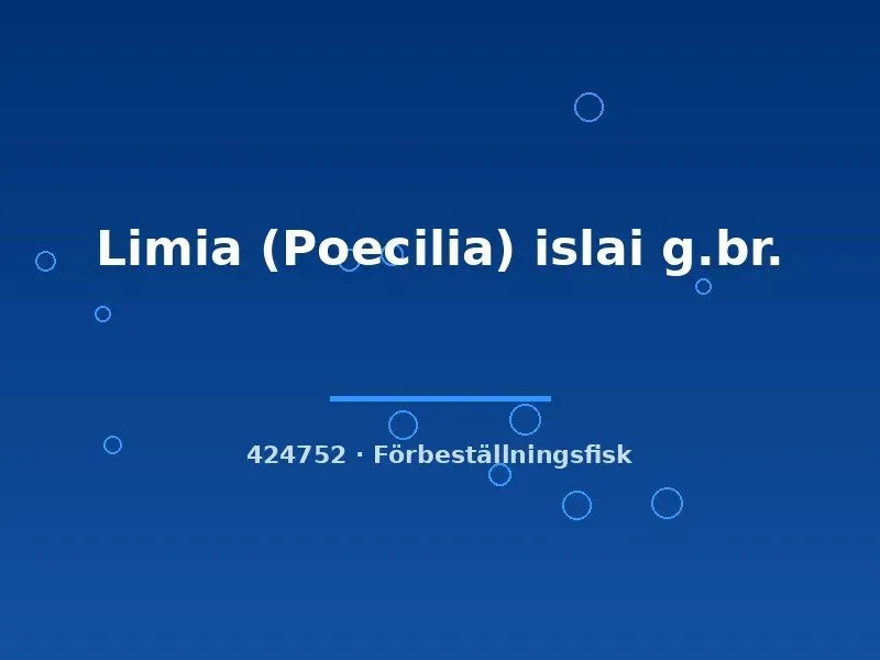 Näsets Ciklidhobby Limia islai levandefödare md