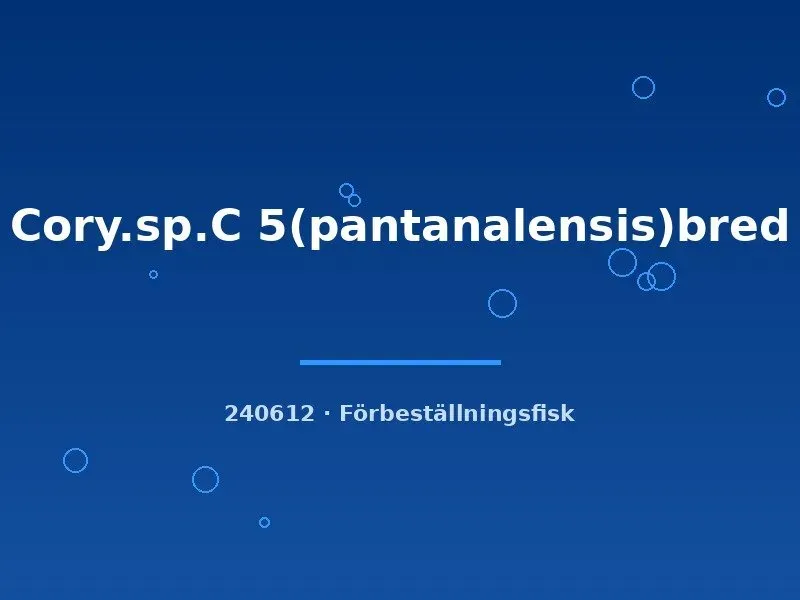 Näsets Ciklidhobby pantanalensis pansarmal md bottenfisk