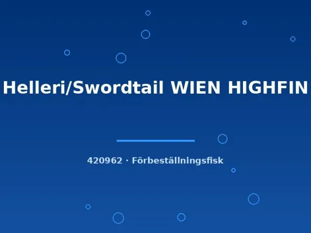 Näsets Ciklidhobby Helleri Wien Highfin svärdbärare lg högfenad