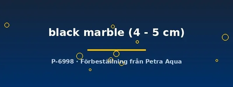 Näsets Ciklidhobby Poecilia latipinna akvariefisk 4–5 cm black marble