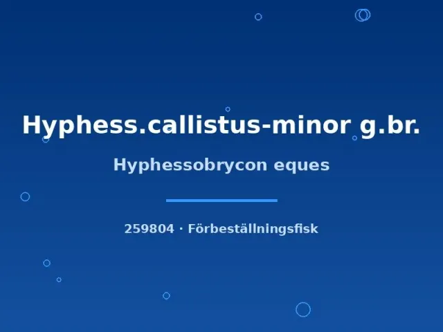 Näsets Ciklidhobby Hyphessobrycon eques tetra md–lg stimfisk