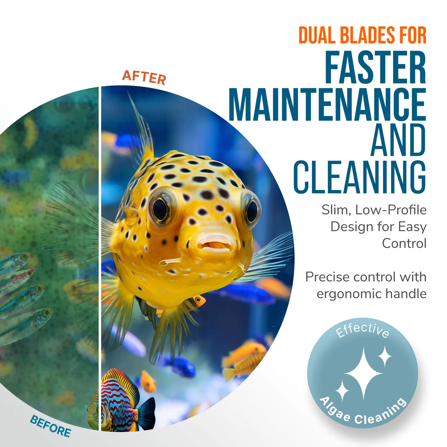 Flipper Edge Max magnetskrapa clownfish för 1" glas