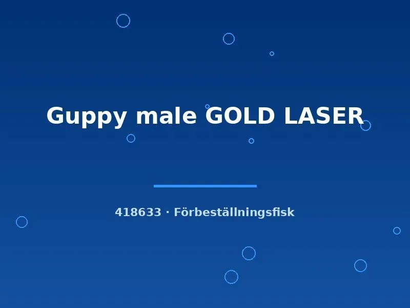 Näsets Ciklidhobby Guppy Gold Laser hane lg gul