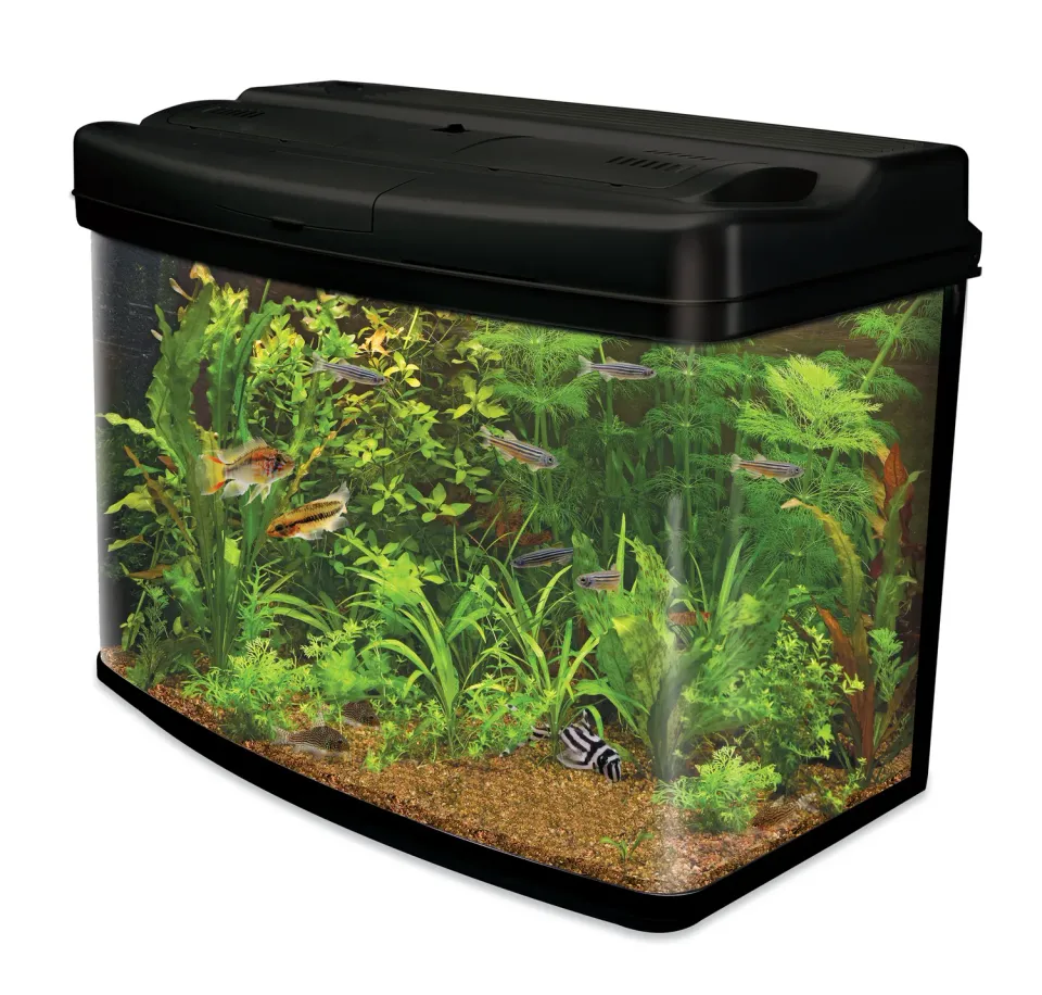 Interpet Fish Pod akvarium 64 liter med CF2-filter