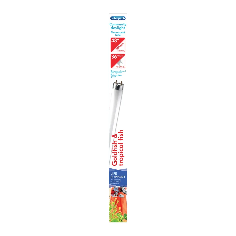 Interpet T8 Community Daylight lysrör 36W 122cm dagsljus