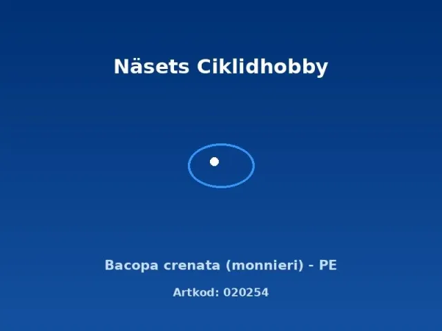Bacopa crenata monnieri PE akvarieväxt