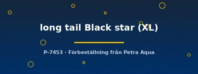 Näsets Ciklidhobby Black Star kampfisk XL hane