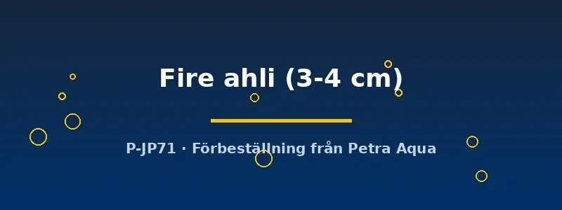 Näsets Ciklidhobby Fire ahli ciklid akvariefisk 3–4 cm Malawi