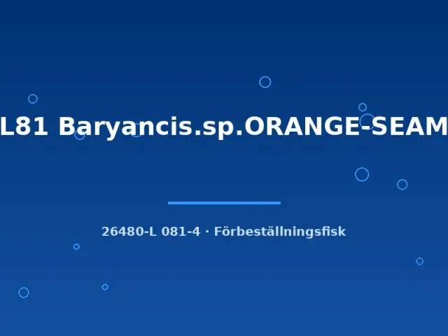 Näsets Ciklidhobby L81 Baryancistrus mal 9–12 cm orange-seam