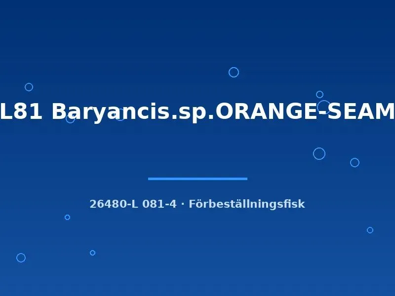 Näsets Ciklidhobby L81 Baryancistrus mal 9–12 cm orange-seam
