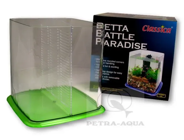 Näsets Ciklidhobby Betta DUO kampfisk mixed 1 st