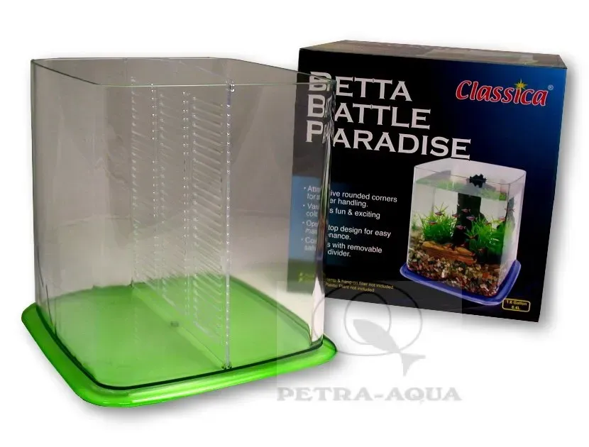 Näsets Ciklidhobby Betta DUO kampfisk mixed 1 st