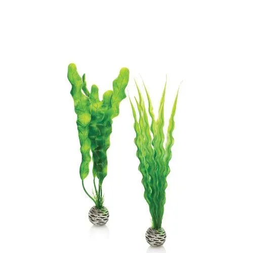 biOrb Medium Green Plant Set akvarieväxter gröna