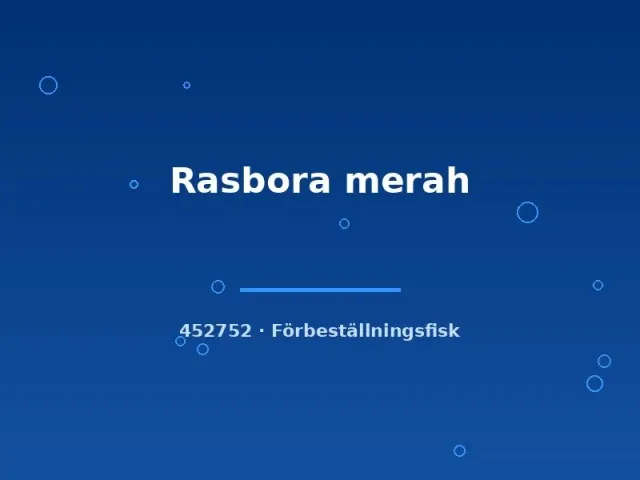 Näsets Ciklidhobby Rasbora merah stimfisk md-lg